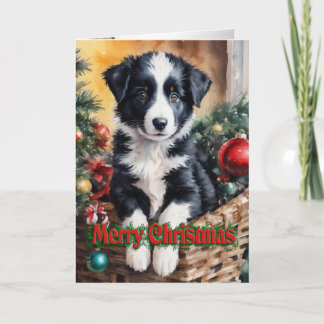 Christmas Border Collie puppy in a basket Holiday Card