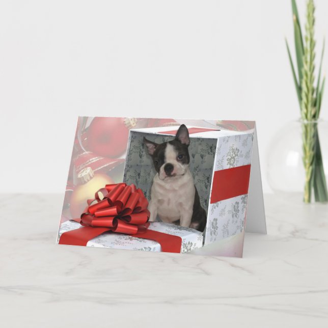 Christmas Boston Terrier Greeting Card (Front)