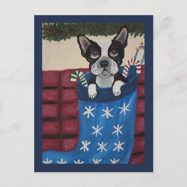 Christmas Boston Terrier in a Stocking Postcard (Front)