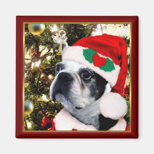 Christmas Boston terrier Magnet