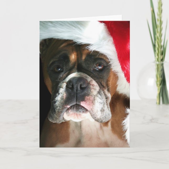 Christmas Boxer Dog greeting card (Front)