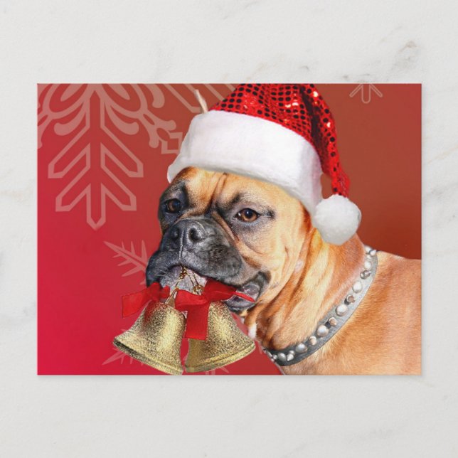 Christmas Boxer dog Holiday Postcard (Front)