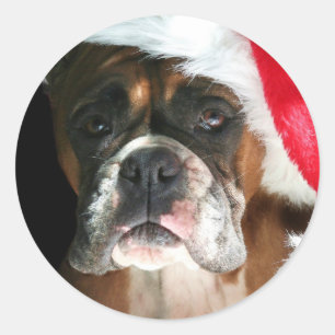 Christmas Boxer Dog stickers