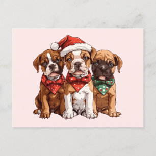 Christmas Boxer Dogs Postcard
