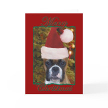 Christmas boxer greeting card