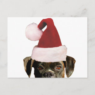 Christmas boxer postcard