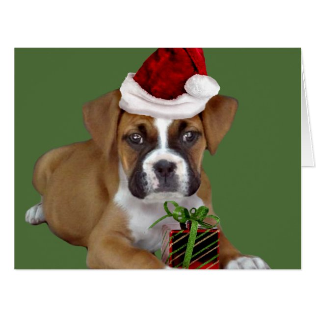 Christmas Boxer puppy (Front Horizontal)