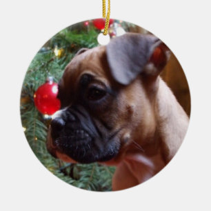 Christmas boxer puppy ornament