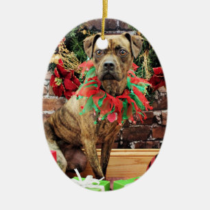Christmas - Boxer X - Kita Ceramic Tree Decoration