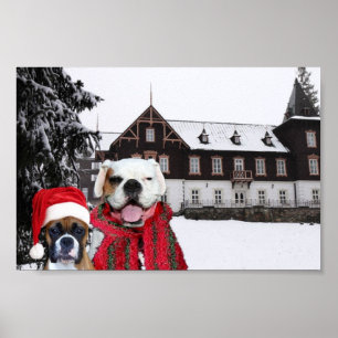 Christmas Boxers poster