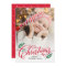 Christmas Branches Holiday Photo Card
