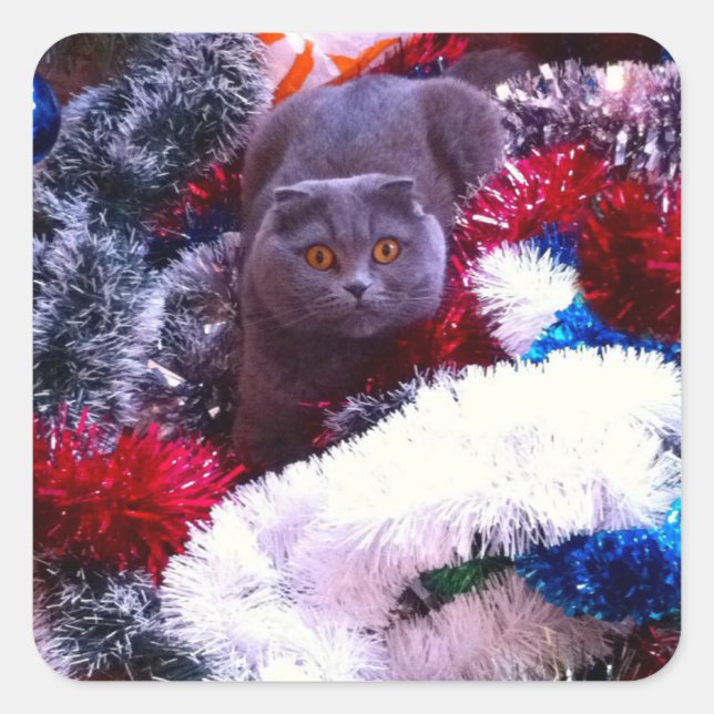 Christmas British blue cat Square Sticker (Front)