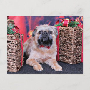 Christmas - Brussels Griffon - Oliver Holiday Postcard