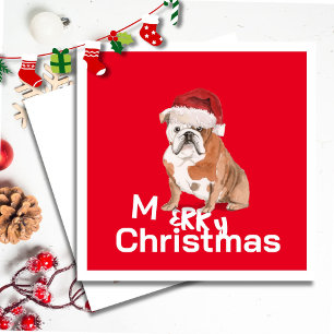 Christmas Bull Dog Merry Greeting Card