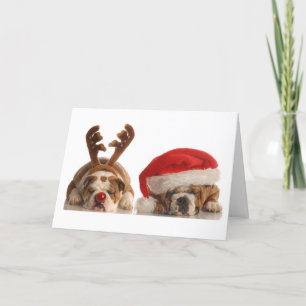 Christmas Bulldogs in Santa Hats Holiday Card