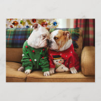Christmas Bulldogs in Sweaters