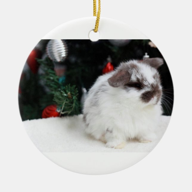 Christmas Bunny Ceramic Tree Decoration (Front)
