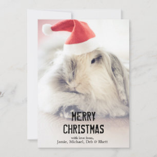 Christmas bunny with cute hat holiday card