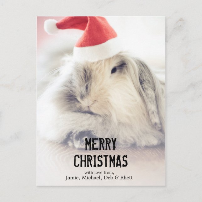 Christmas bunny with cute hat holiday postcard (Front)