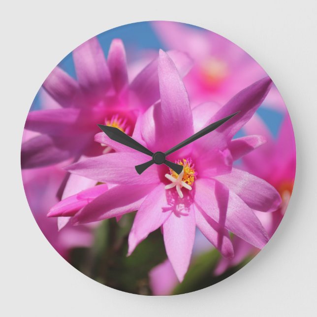 Christmas Cactus 1 Wall Clocks & Numeral Options (Front)