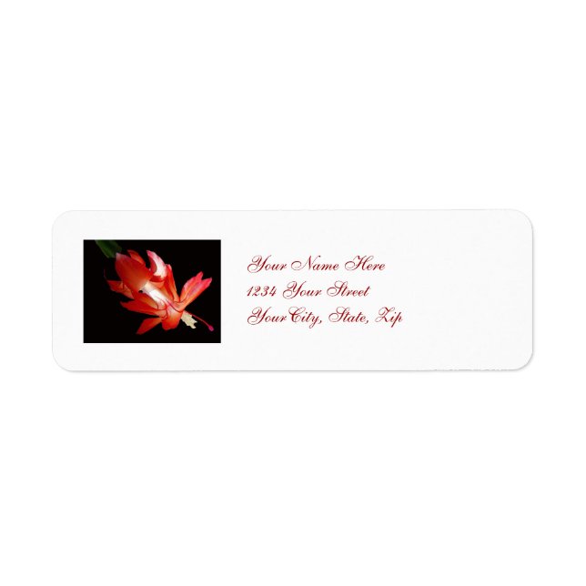 Christmas Cactus Address Label (Front)