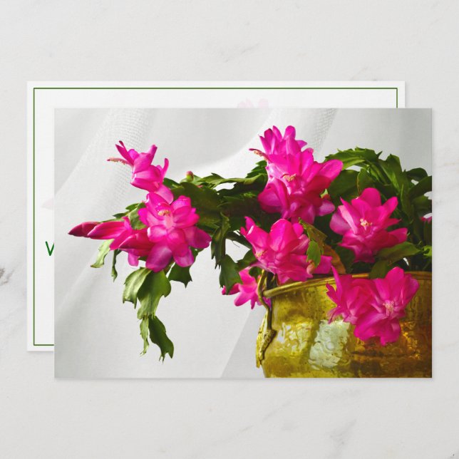Christmas Cactus Closeup Photograph Invitation (Front/Back)