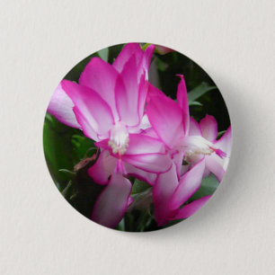Christmas Cactus Flowers Button