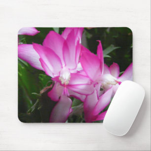Christmas Cactus Flowers Mousepad