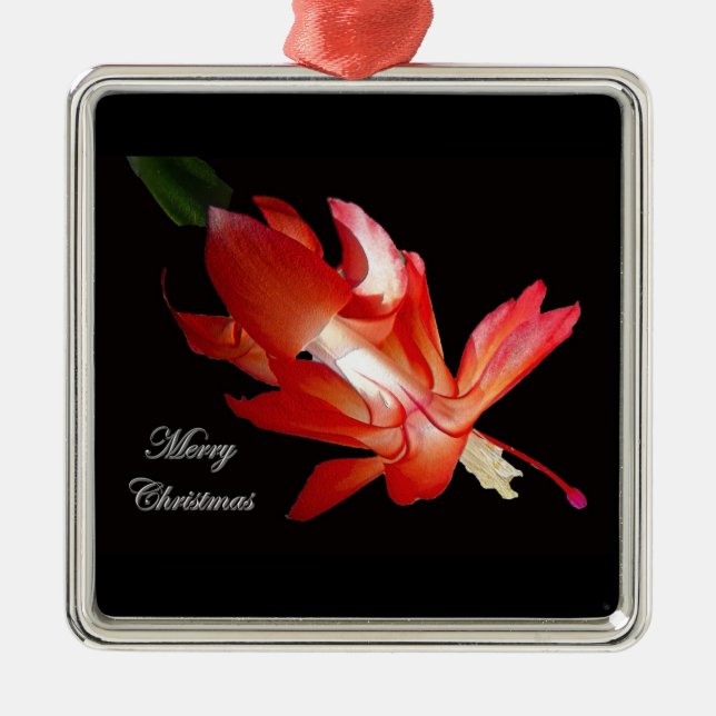 Christmas Cactus Merry Christmas Ornament (Front)