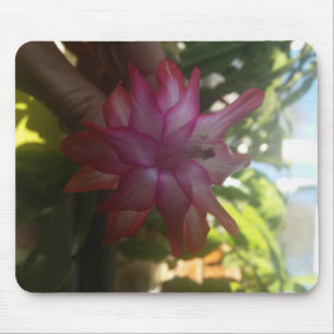 christmas cactus mousepad