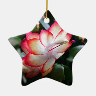 Christmas Cactus 'Samba Brazil' Ceramic Tree Decoration
