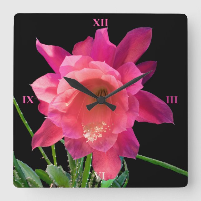 Christmas Cactus Square Wall Clock (Front)
