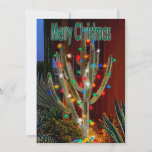 Christmas Cactus with Merry Christmas. Holiday Card
