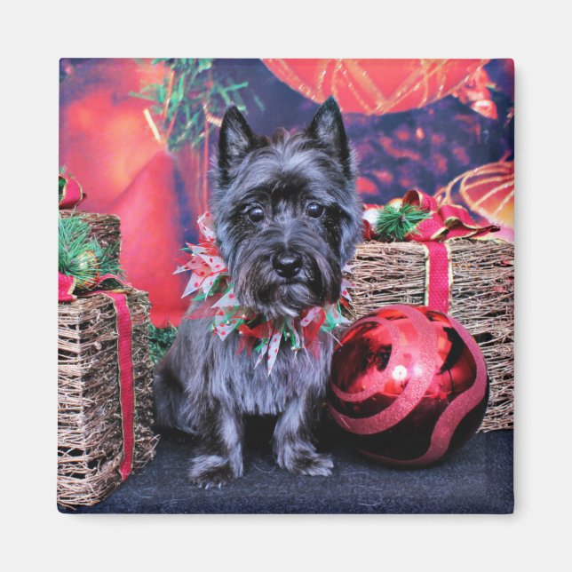 Christmas - Cairn Terrier - Jewel Magnet (Front)