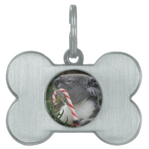Christmas Candy Cane Koala Pet ID Tag