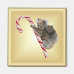 Christmas Candy Cane Koalas Magnet