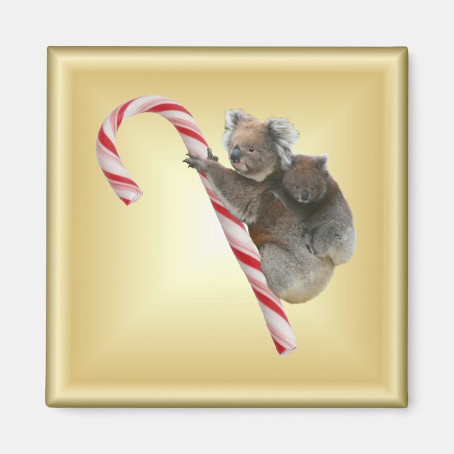 Christmas Candy Cane Koalas Magnet (Front)