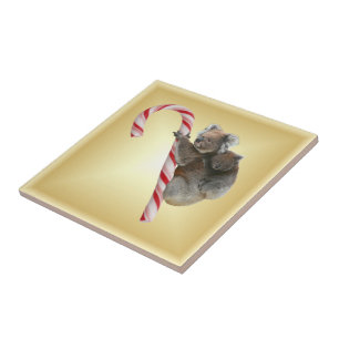 Christmas Candy Cane Koalas Tile