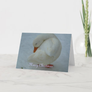 Christmas Card