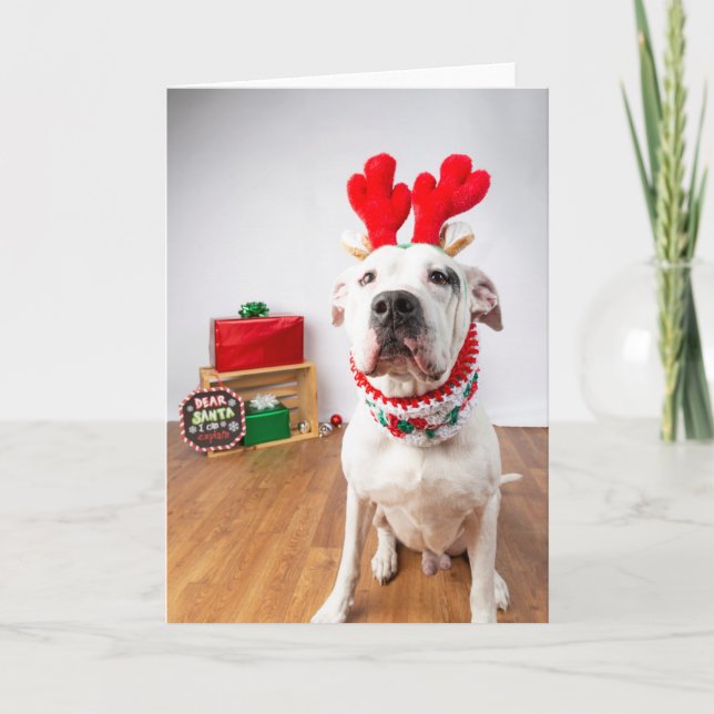 Christmas card (Front)