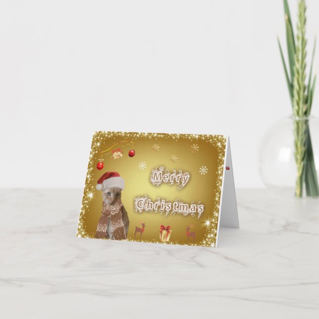 christmas card (Front)