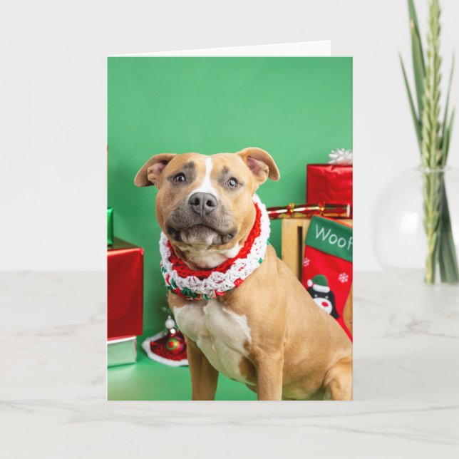 Christmas card (Front)