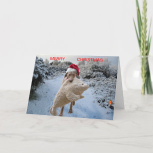 Christmas card