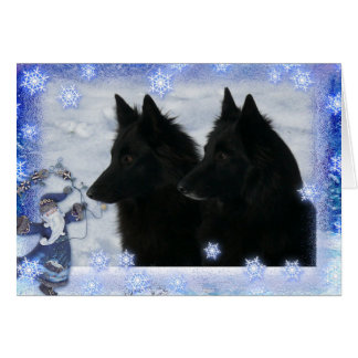 Christmas card 2 Groenendaelers