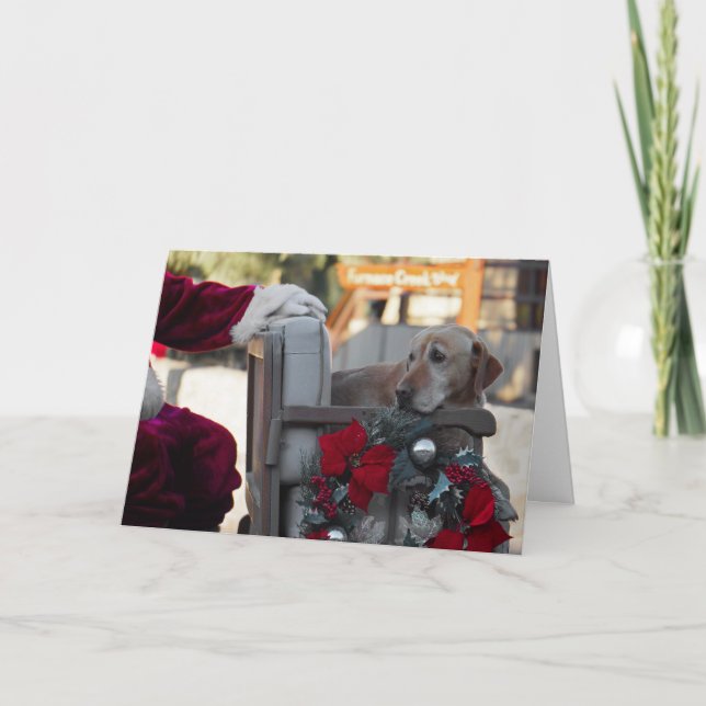 Christmas card: Christmas Eve in Death Valley Holiday Card (Front)