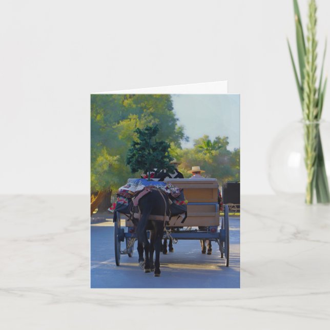 Christmas card: Christmas Eve in Death Valley Holiday Card (Front)