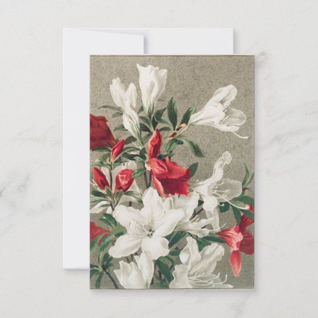 Christmas card depicting apple blossom (Front)