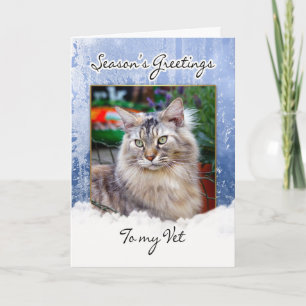Christmas Card For Vet - Vet Christmas Card, Seaso