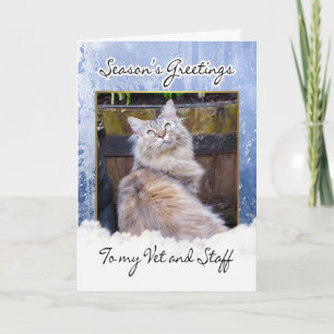 Christmas Card For Vet - Vet Christmas Card, Seaso