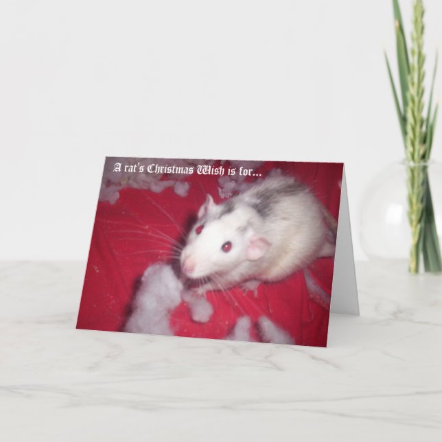 Christmas Card FOR your pet rats! (Front)
